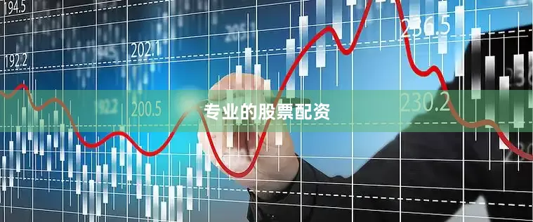 专业的股票配资
